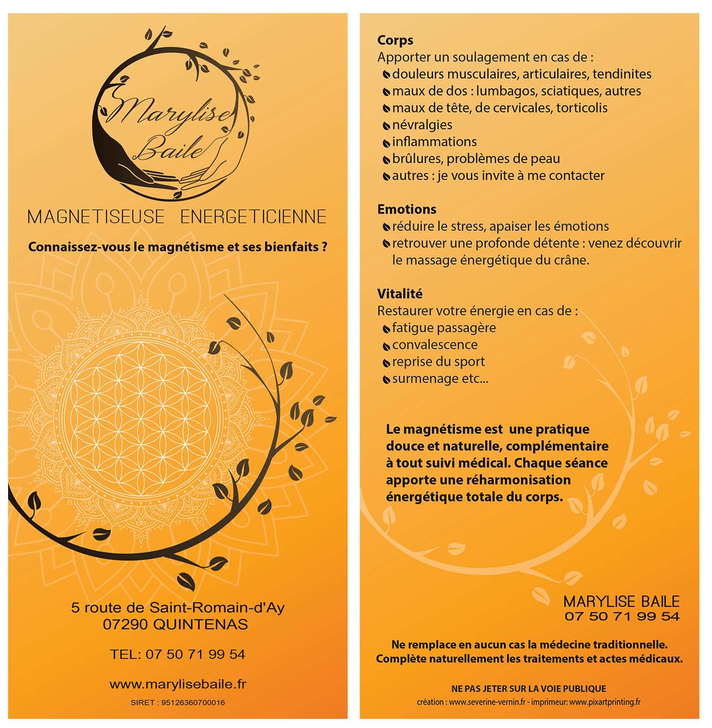 Flyer Magnetiseur
